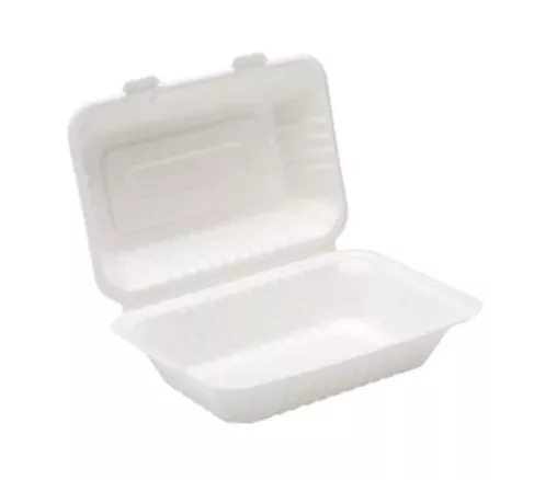BAGASSE