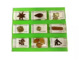 children science specimens.jpg
