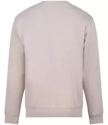 RX301%20STO%20BACK.jpg?