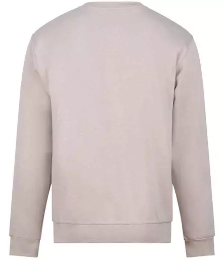 RX301%20STO%20BACK.jpg?