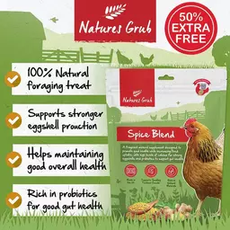 natures-grub-spice-blend-with-probiotics-4.webp