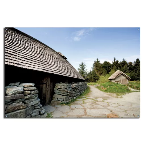 Viking - Backdrop.jpg