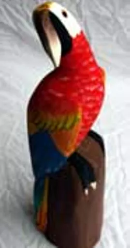 https://starbek-static.myshopblocks.com/images/tmp/sa_126_macaw_177.jpg