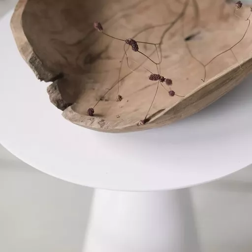 Decorative Bowl, Nova, Nature