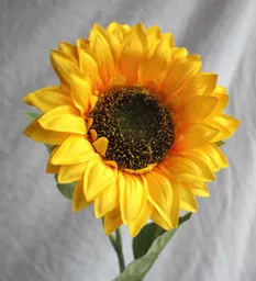 https://starbek-static.myshopblocks.com/images/tmp/nt_171_sunflower_750.jpg