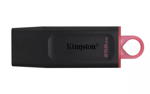 Kingston Technology DataTraveler Exodia - USB 3.2 Flash Drive