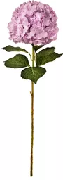 IT393775.jpg
