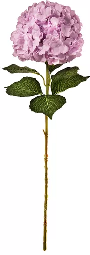 IT393775.jpg