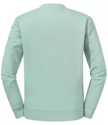 262M%20EGN%20BACK.jpg?