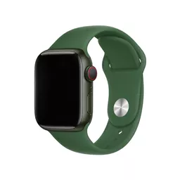 DEV-AW4244-SIL-CLV1 (Copy).png