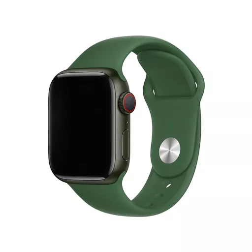 DEV-AW4244-SIL-CLV1 (Copy).png