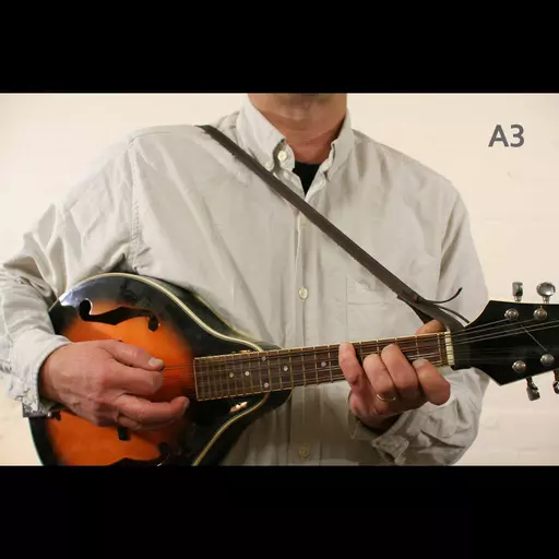 MS37 A3 mandolin brown 2.jpg