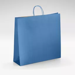 Natural-kraft-blue-twist-handles-bag-LARGE.jpg