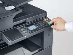 YdBz0itZKkOo_LgcR4yRpg.c-r.jpg?