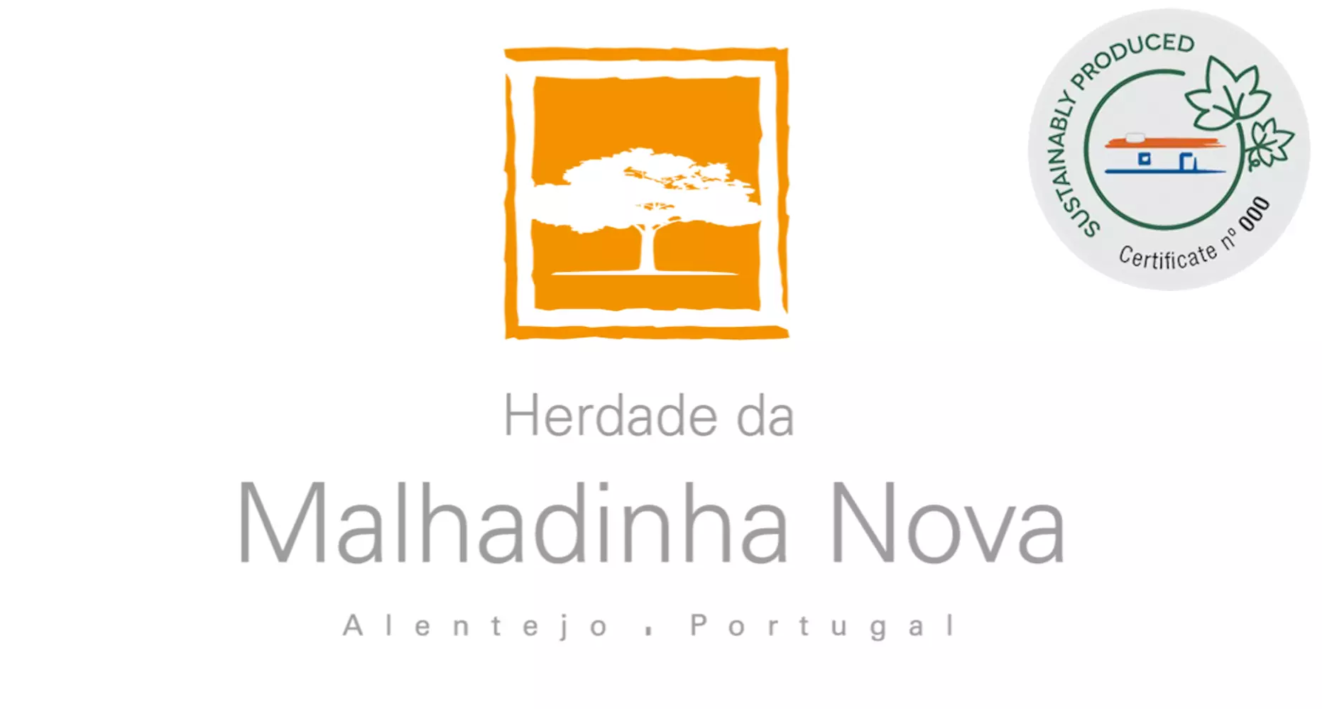 Verdelho da Malhadinha