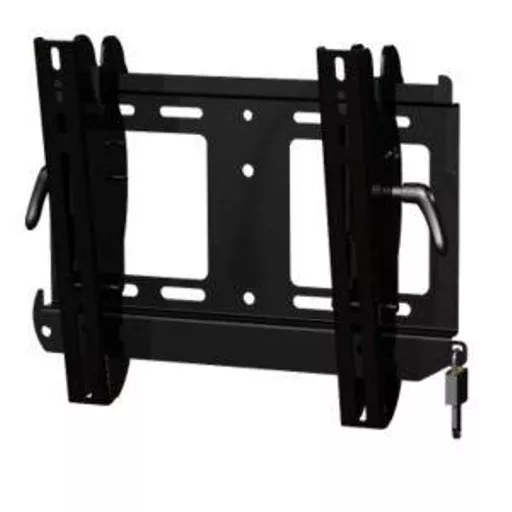 Peerless PTL635 TV mount 109.2 cm (43") Black