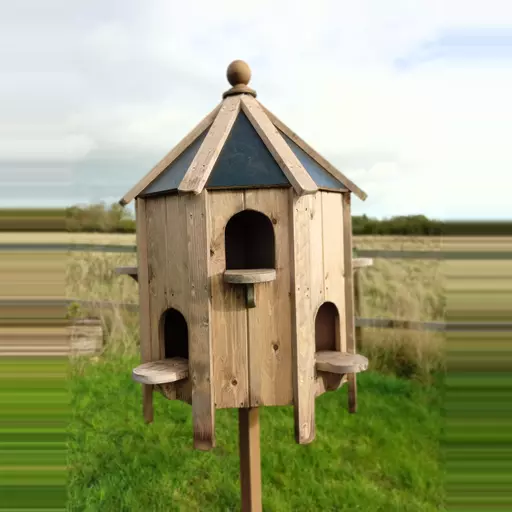 DoveCote (Medium)