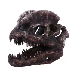 Dilophosaurus Skull (3).jpg