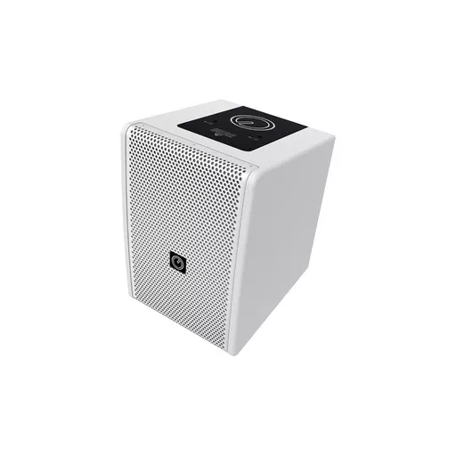 Intusonic INTUCAB 6FP100T 6.5