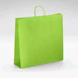 White-kraft-lime-twist-bag-Large.jpg