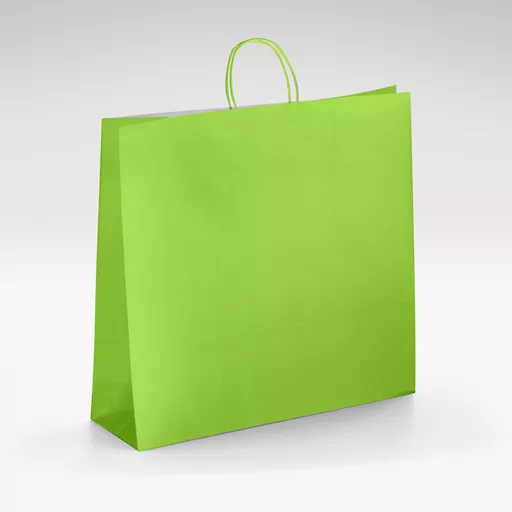 White-kraft-lime-twist-bag-Large.jpg