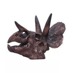 Triceratops - 14 (4).jpg