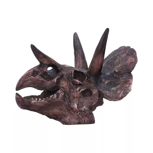Triceratops - 14 (4).jpg