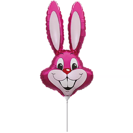 Fuchsia Rabbit 14