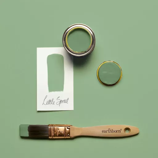 Little Sprout Brush Shot.webp