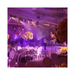 1703000725-55461700.jpg?