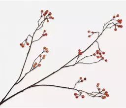 Screenshot 2026-01-28 at 11.27.25.png