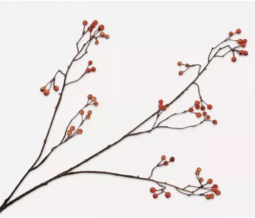 Screenshot 2026-01-28 at 11.27.25.png