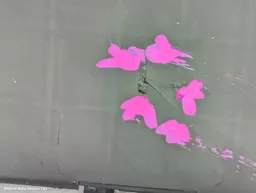 cadddf61-73c9-42ad-9d62-d0455d54ff4a.jpeg?