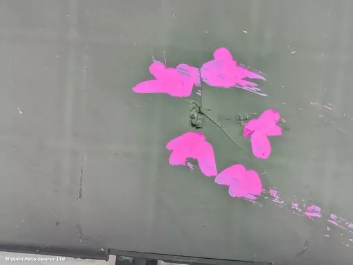 cadddf61-73c9-42ad-9d62-d0455d54ff4a.jpeg?