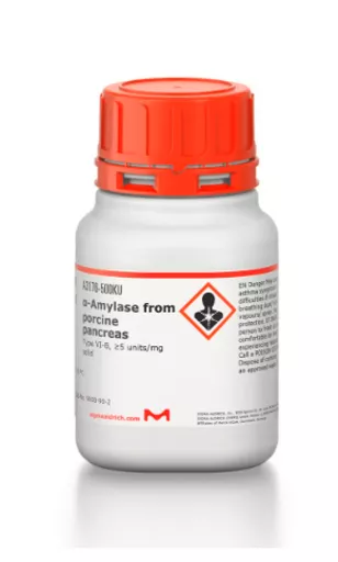 16896845151e083e56344a0d7b6cb995890c462b49.png?