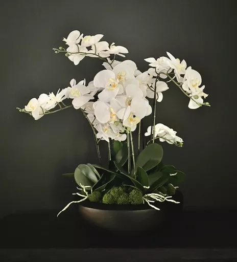 Large White Orchid Arrangement In Low Back Planter