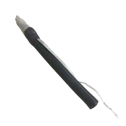 CSAK-1-SEC02.png