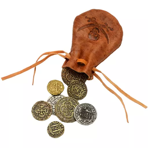 Pirate Pouch and Coins