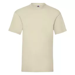 Men's Valueweight T-Shirt