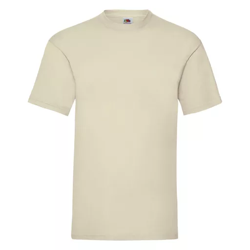 Men's Valueweight T-Shirt