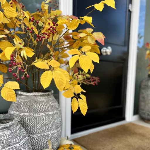 -Hornbeam - Yellow