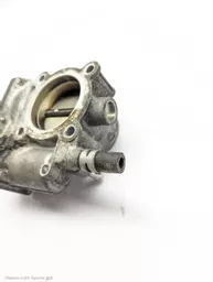 9007a990-0802-4c12-bf06-cbf7fd711451.jpeg?