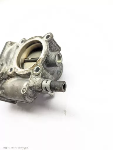 9007a990-0802-4c12-bf06-cbf7fd711451.jpeg?