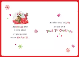 IT316769_2.jpg