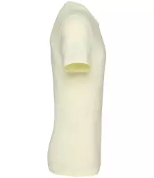 NS300%20LEC%20RIGHT.jpg?