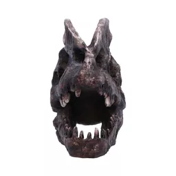 Dilophosaurus Skull (2).jpg