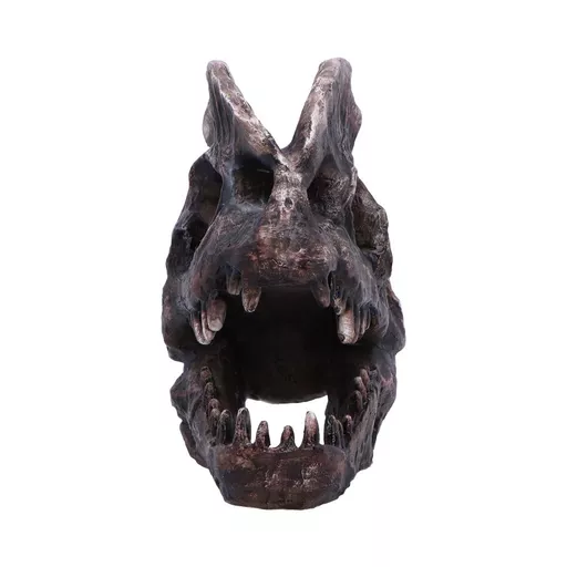 Dilophosaurus Skull (2).jpg