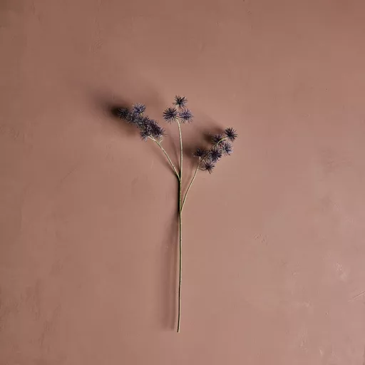Burgundy Urchin Spray Stem