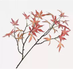 Screenshot 2026-01-28 at 11.35.47.png