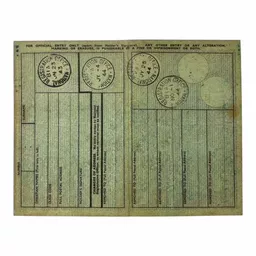 Adult Identity Cards 2.jpg